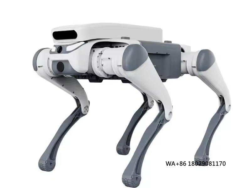 Educational Toys - 스턴트 원격 조종 교육용 장난감 지능형