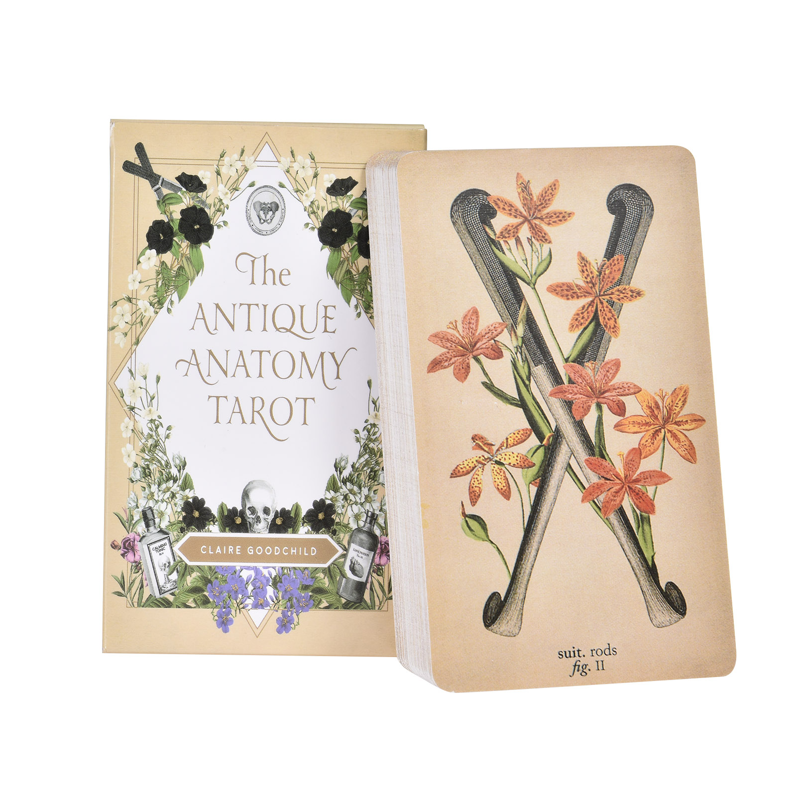 Tarot Cards Deck With Guidebook - 앤티크 해부학 타로 카드 영어 버전