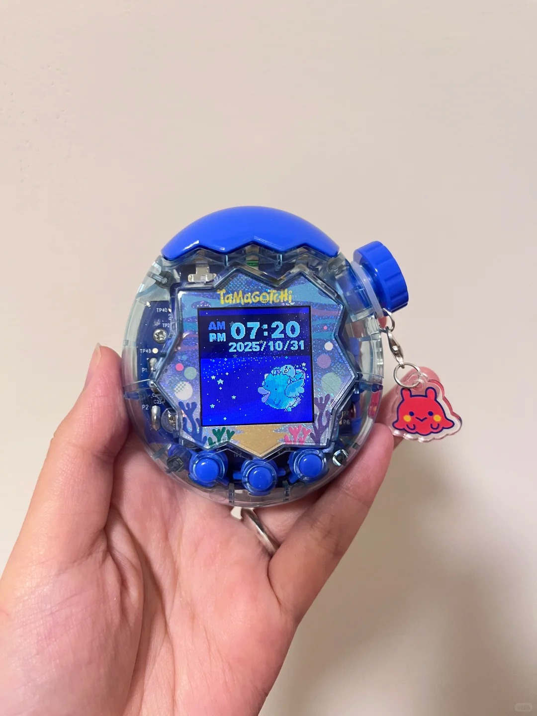 반다이 다마고치 해양 테마 인터랙티브 가상 애완동물 전 - Tamagotchi Electronic Pet Virtual 리뷰 및 가격
